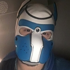 pupquinn21 avatar